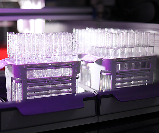 Stable Isotope Labelled Standards